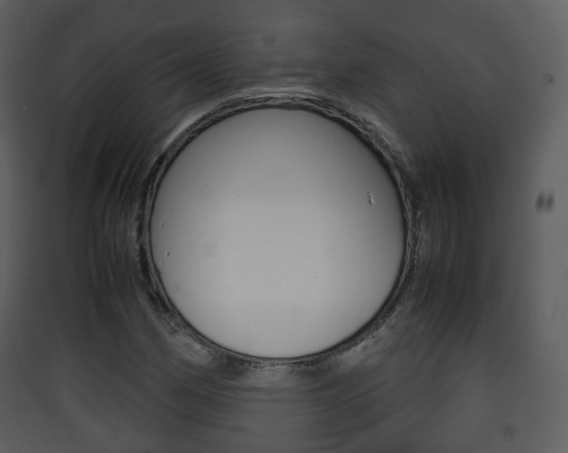 X0000090411162200707130919