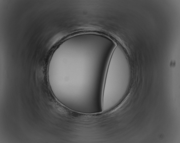 X0000090411163200707130919