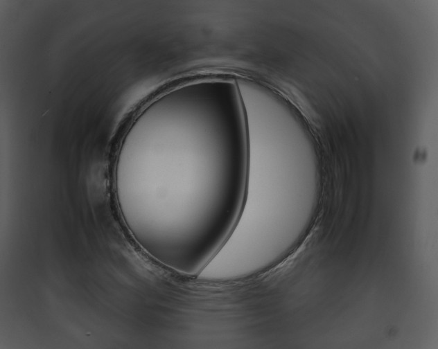 X0000090411164200707130918