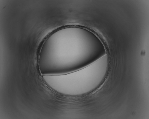 X0000090411167200707130918