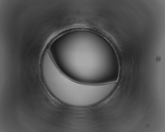 X0000090411168200707130918