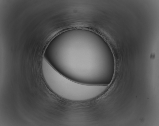 X0000090411169200707130918