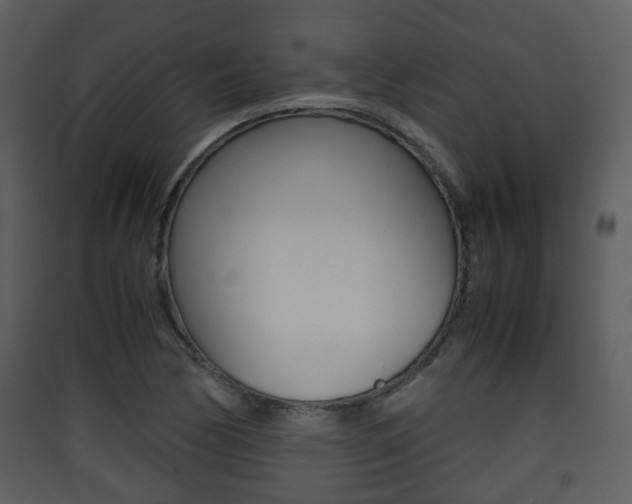 X0000090411170200707130918