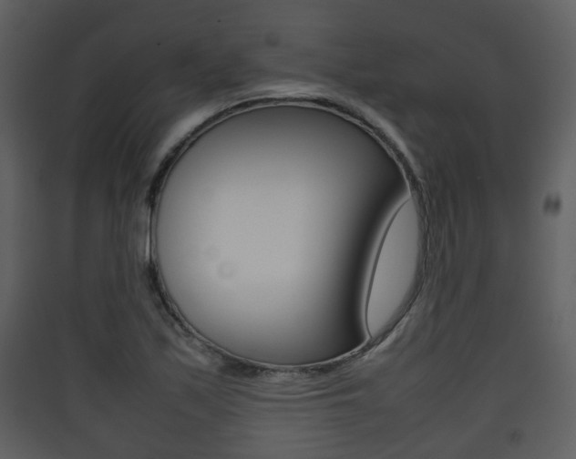 X0000090411171200707130918