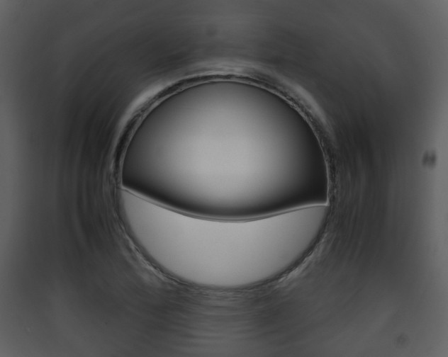 X0000090411172200707130918
