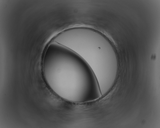 X0000090411173200707130918
