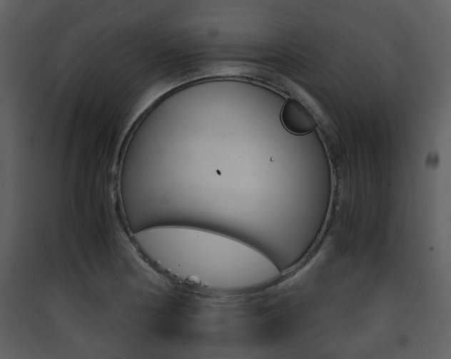 X0000090411178200707130918