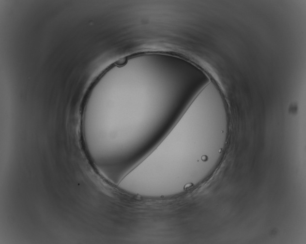 X0000090411179200707130918