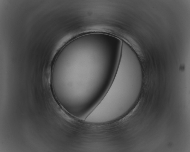 X0000090411180200707130918