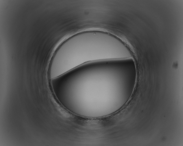 X0000090411181200707130918