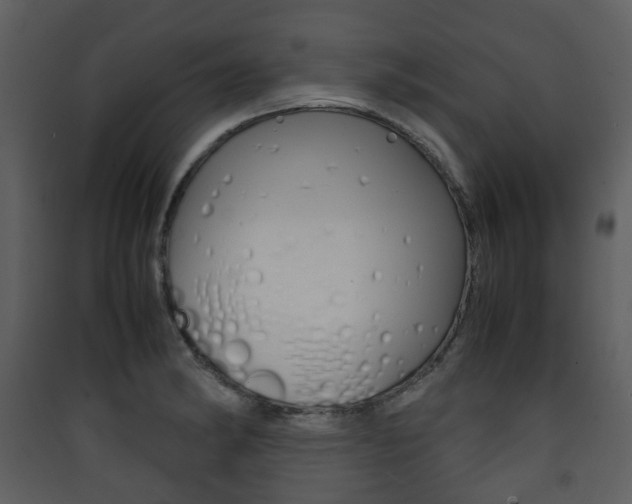 X0000090411182200707130918