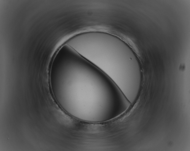 X0000090411184200707130918