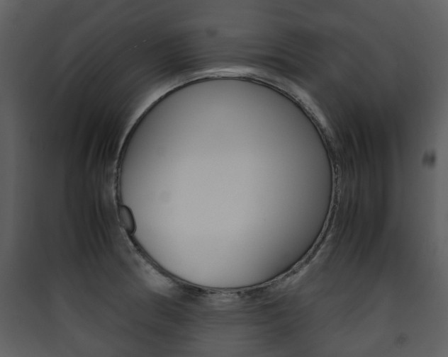 X0000090411186200707130918