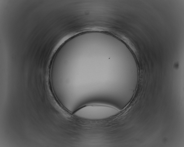 X0000090411187200707130918