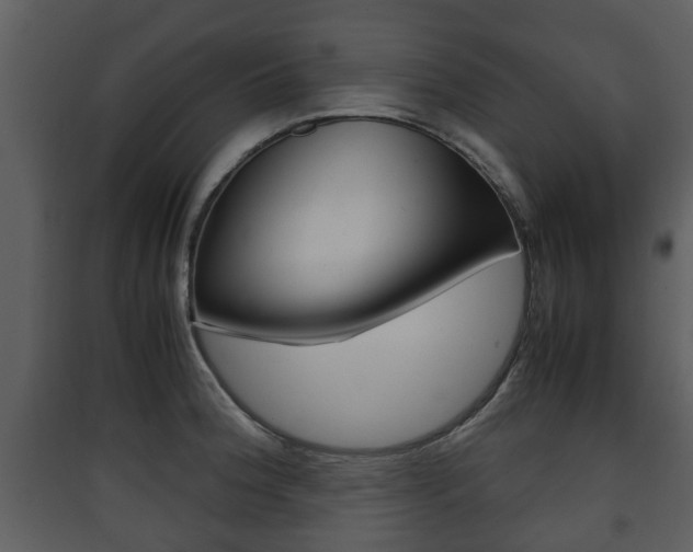 X0000090411188200707130918