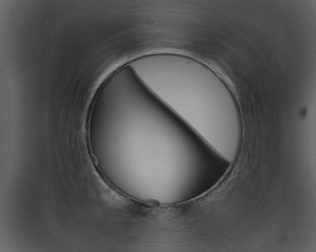 X0000090411189200707130918