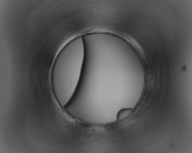 X0000090411190200707130918