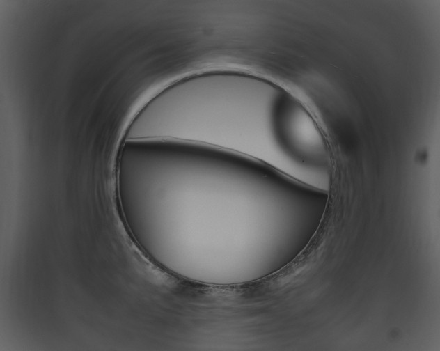 X0000090411191200707130918