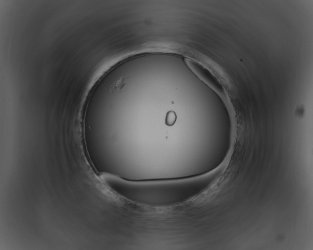 X0000090411192200707130918