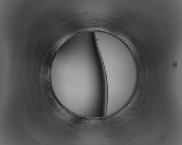 X0000090411193200707130918
