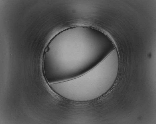 X0000090411195200707130918