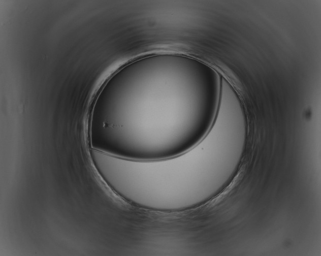 X0000090411196200707130918