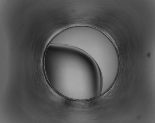 X0000090411197200707130918