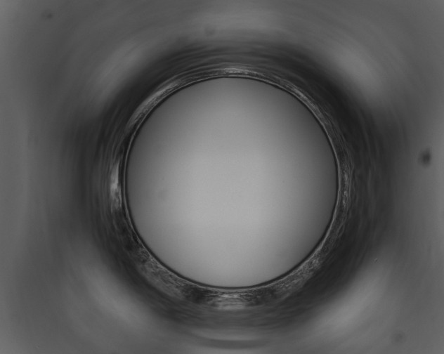 X0000090411198200707130918