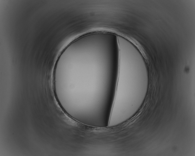 X0000090411199200707130918