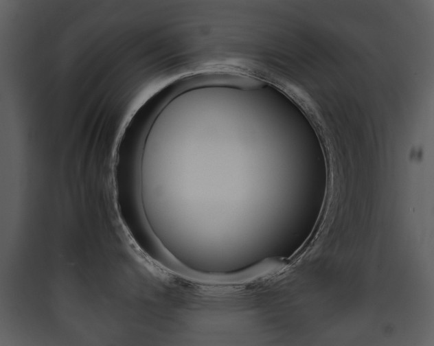X0000090411200200707130918