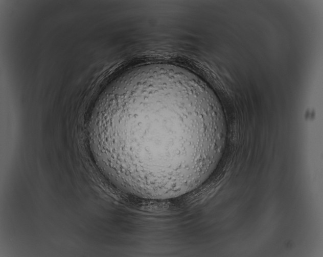 X0000090411201200707130917