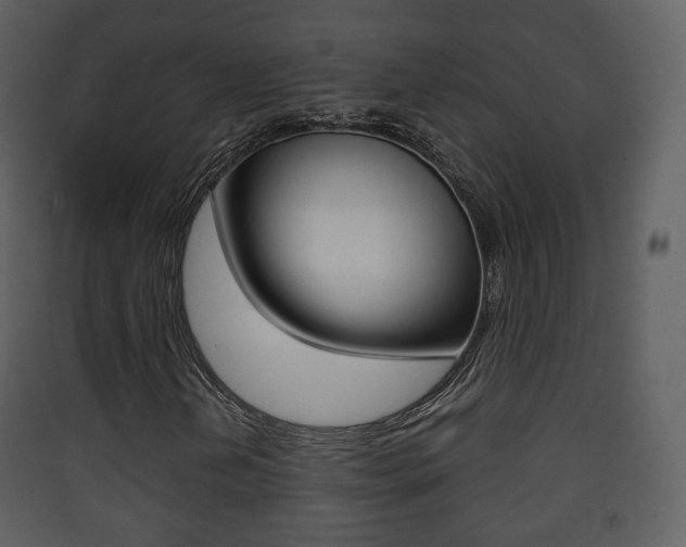 X0000090411202200707130917