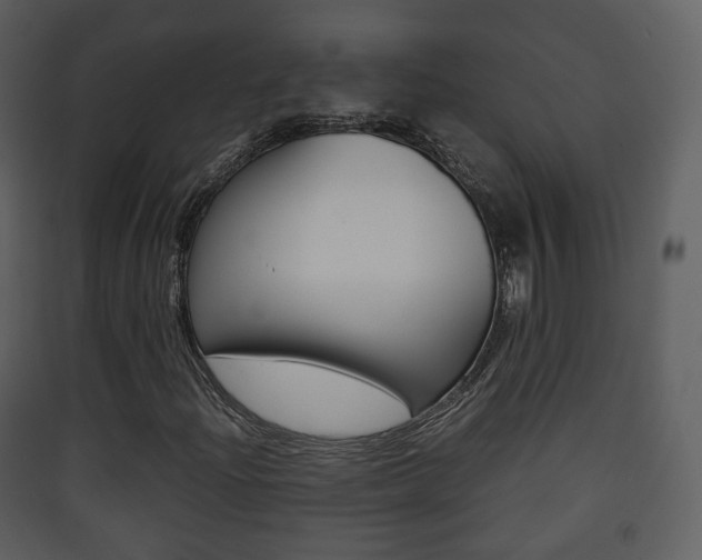 X0000090411204200707130917