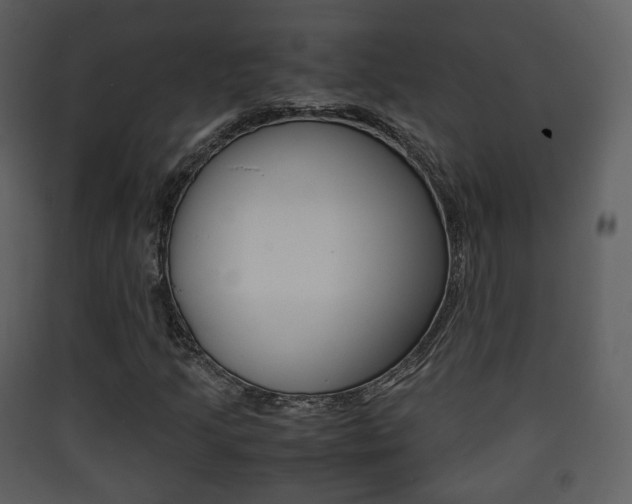 X0000090411205200707130917