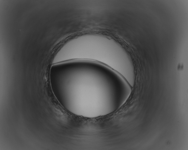 X0000090411206200707130918