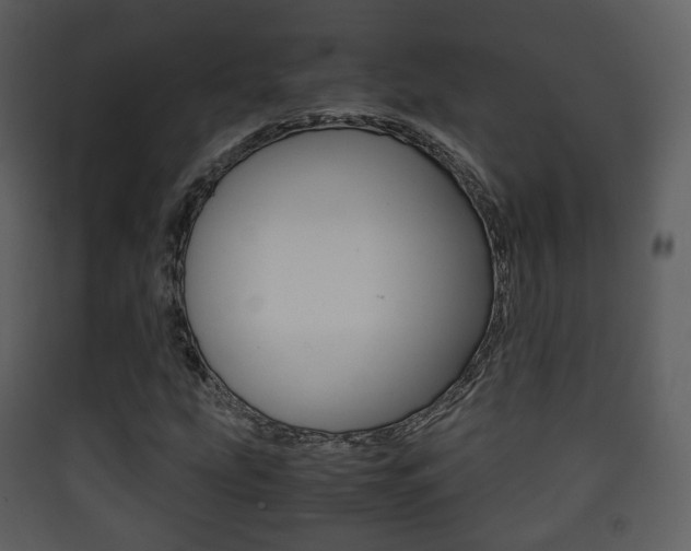 X0000090411207200707130918
