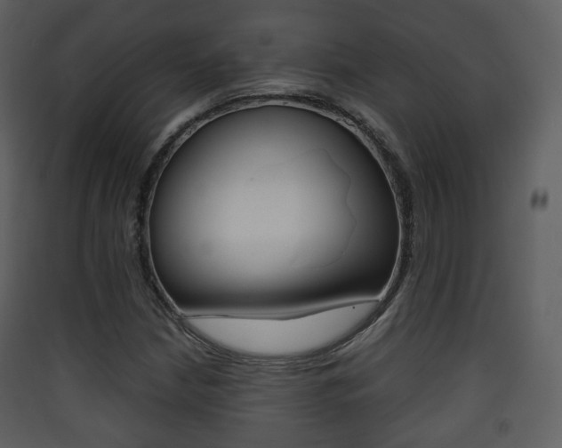 X0000090411210200707130918