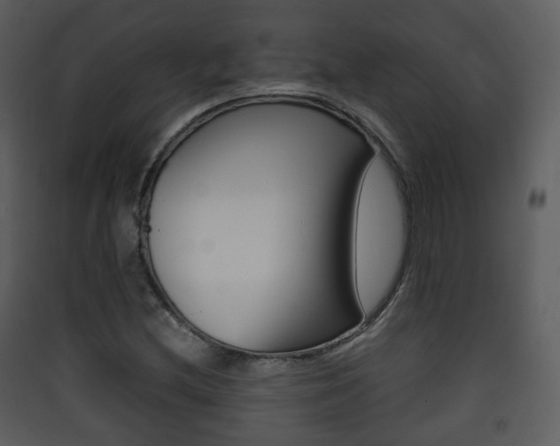 X0000090411212200707130918