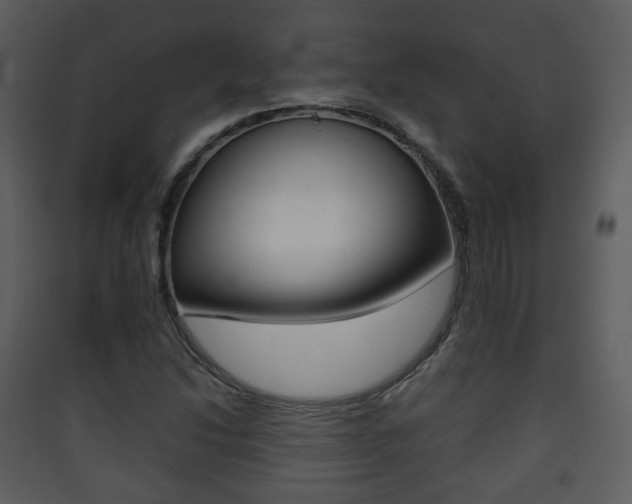 X0000090411214200707130918