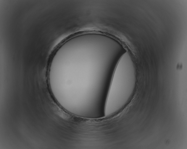 X0000090411216200707130918