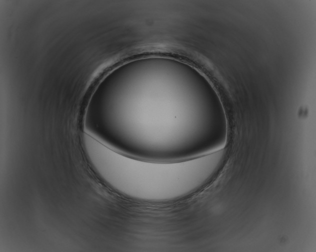 X0000090411218200707130918