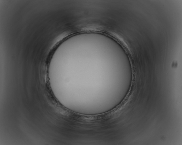 X0000090411219200707130918