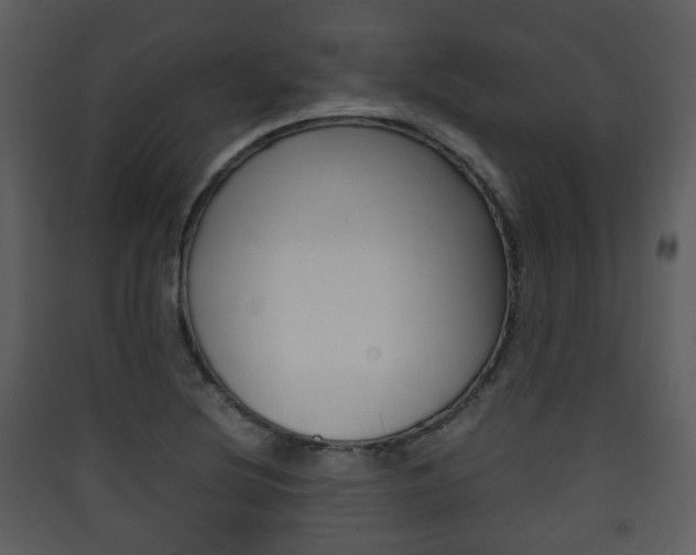 X0000090411220200707130918