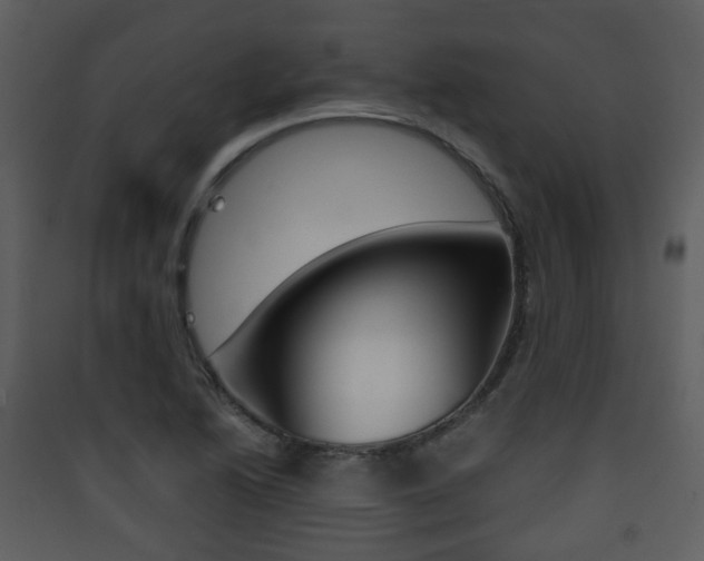 X0000090411222200707130918