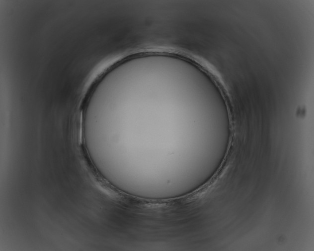 X0000090411223200707130918