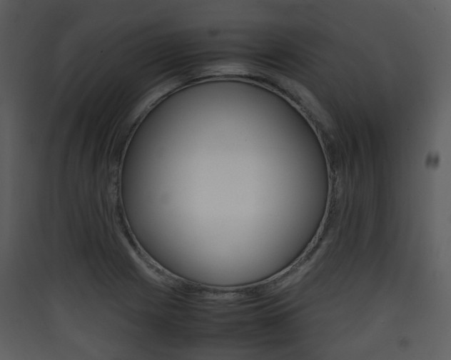 X0000090411225200707130918