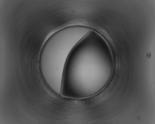 X0000090411226200707130918