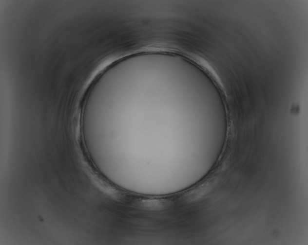 X0000090411227200707130918