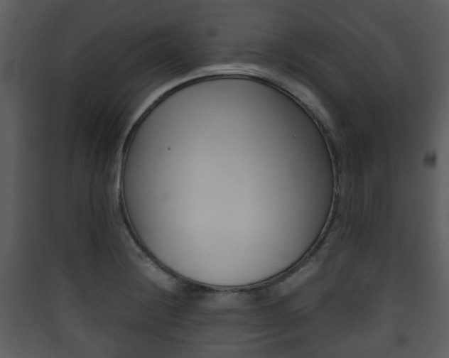 X0000090411228200707130918