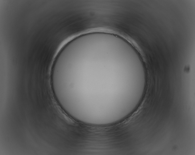 X0000090411230200707130918